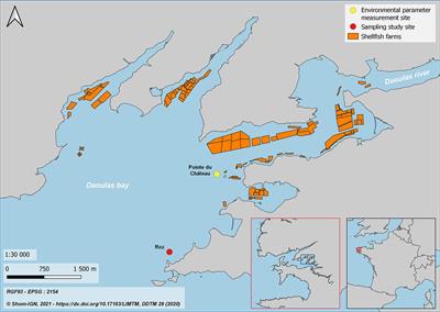 Environmental distribution and seasonal dynamics of Marteilia refringens and Bonamia ostreae, two protozoan parasites of the European flat oyster, Ostrea edulis
